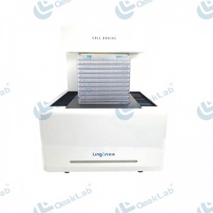 LA635 – Large-Scale Cell Culture Observation Microscope