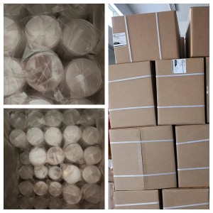 90mm Petri Dish Best Price