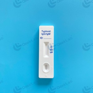 Typhoid IgG, IgM Test