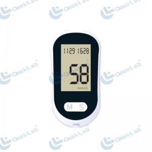 Electronic Glucometer