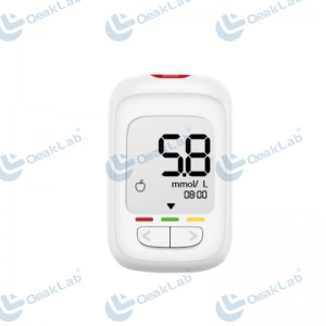 Electronic Glucometer