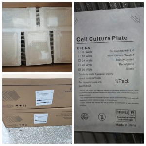 6 wells Cell Culture Plate